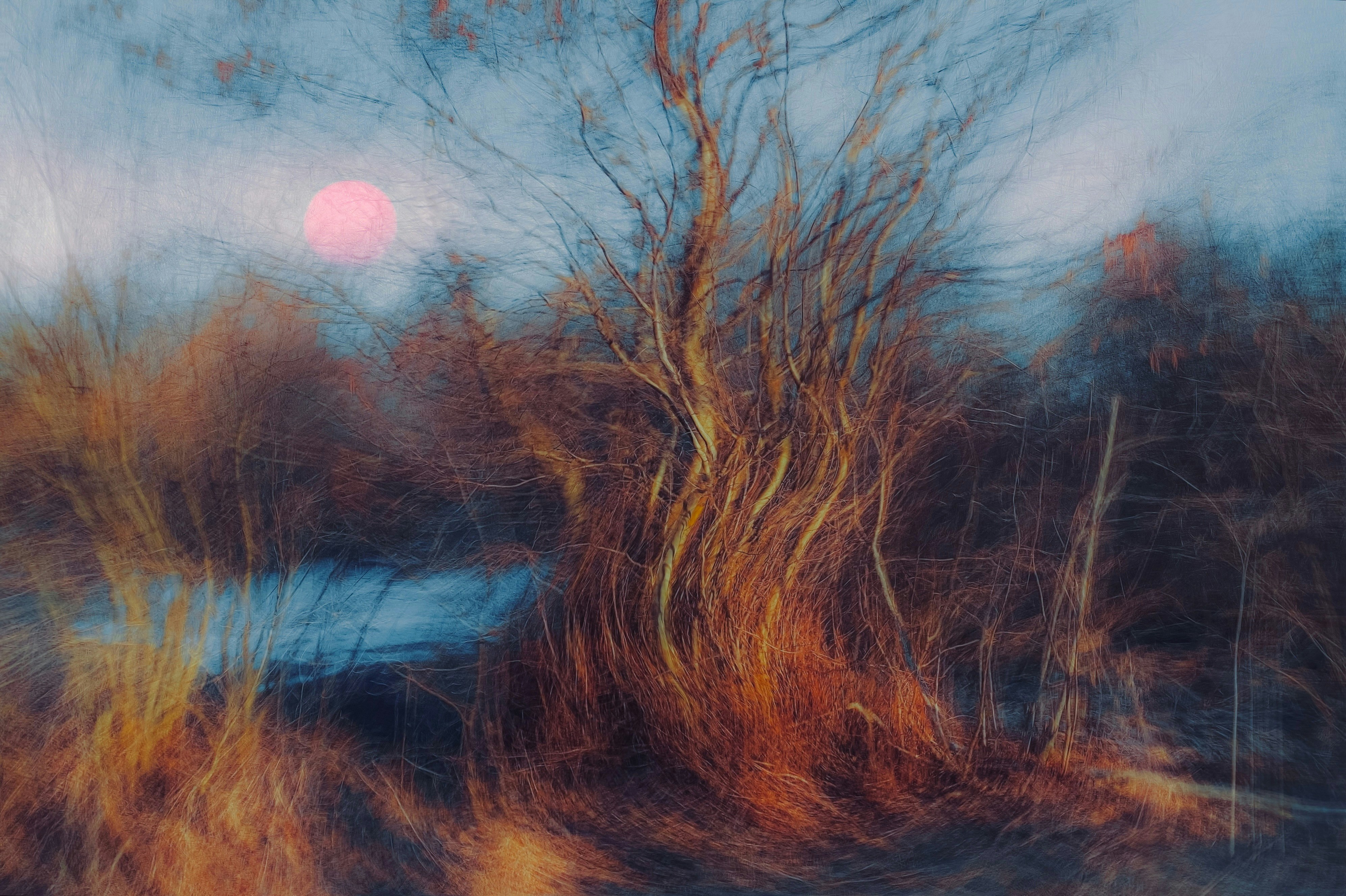 Paesaggio notturno con luna — alterazione della coscienza e delirium